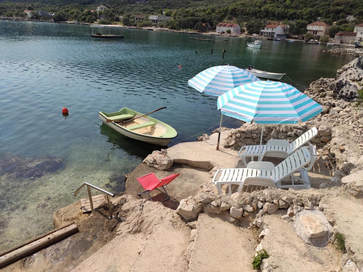 Iva Lavanda Putniković Buitenkant foto